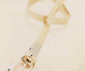 Silver_belt