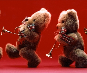 Bear band