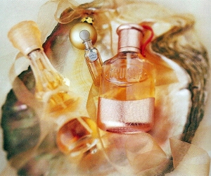 Shell_colognes