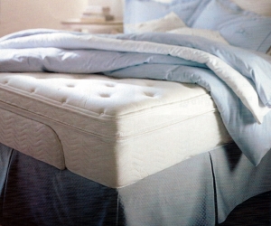 *Relax_Back_Mattress